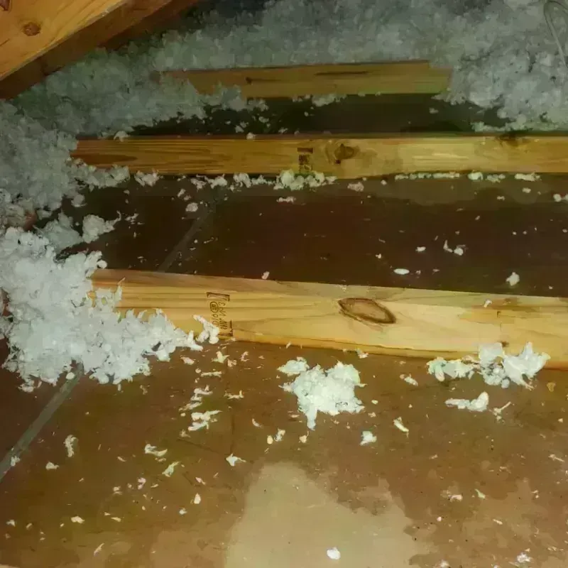 Attic Water Damage in Madison County, TN